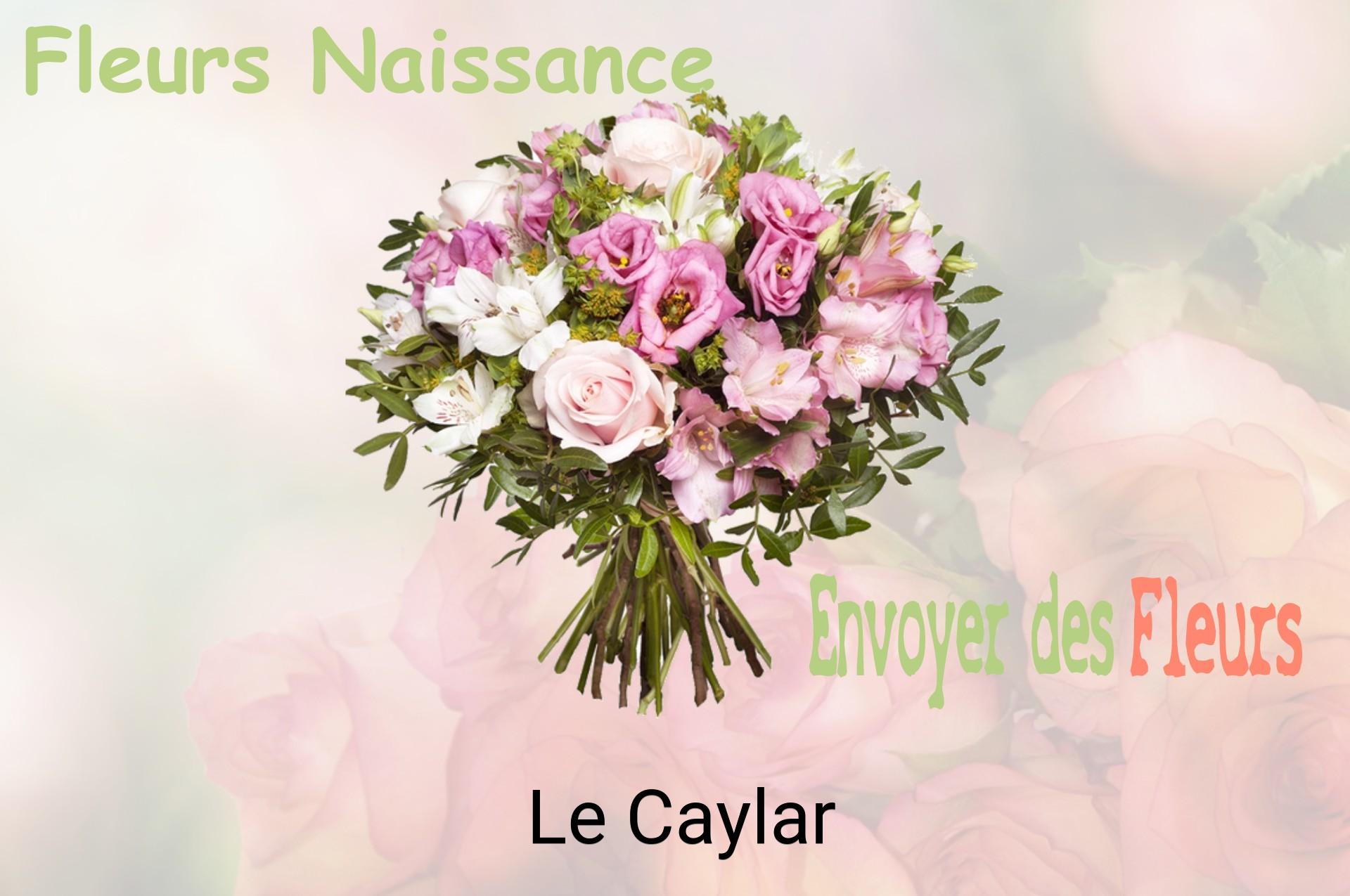 Bouquet de fleurs de naissance livré à Le Caylar