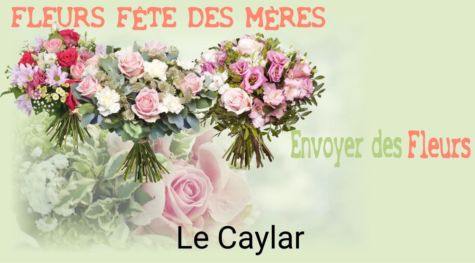 Bouquet de Fête des Mères livré à Le Caylar